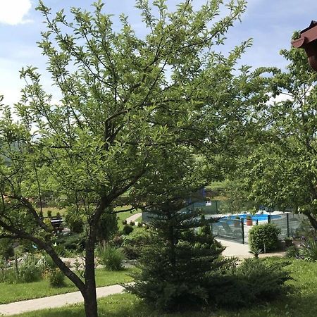 Apartments San - With Pool; Rakovica Exterior foto